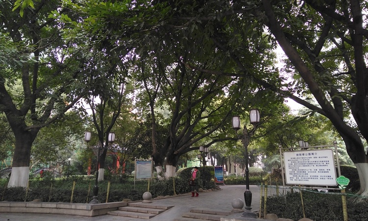 美岸观邸周边配套图