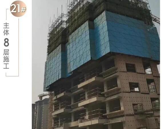 碧桂园云溪尚境施工进度图