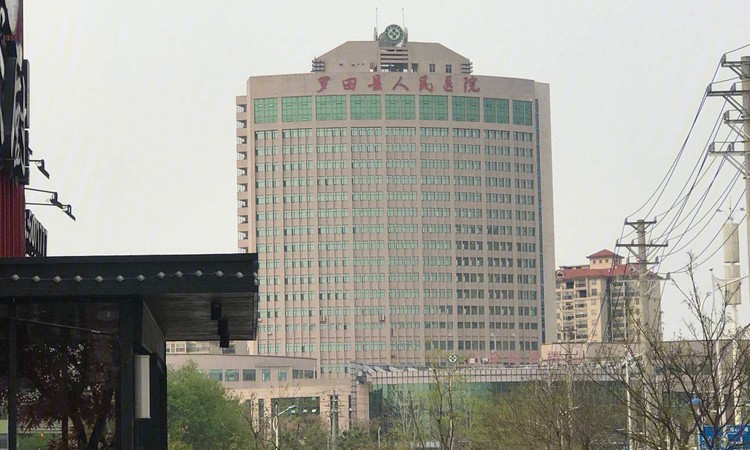 罗田泰禾富·凤凰府周边配套图