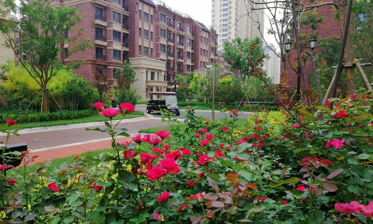 信友城市之光实景图