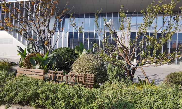 开云艾尚里实景图