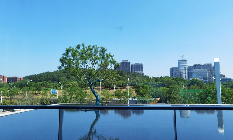 城投南山长投·领峯周边配套图