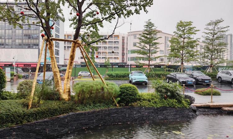 星河·盛世锦城实景图