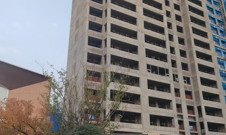 奥体建设瑞香园施工进度图