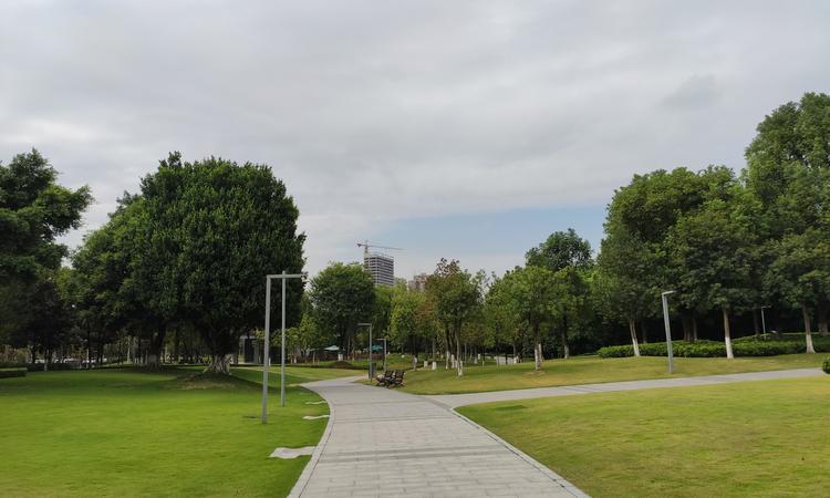 重庆中央公园悦府周边配套图