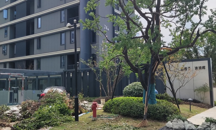 如沐清晖城施工进度图