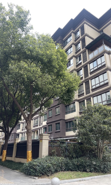  桓大绿岛名都施工进度图