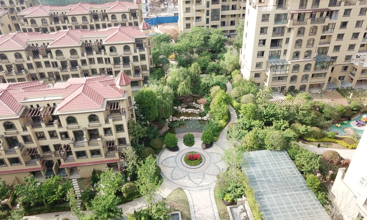 中坚一品实景图