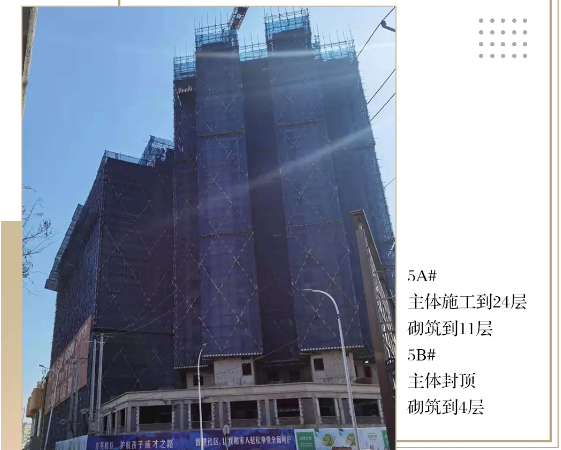 汇龙·玖和琚施工进度图