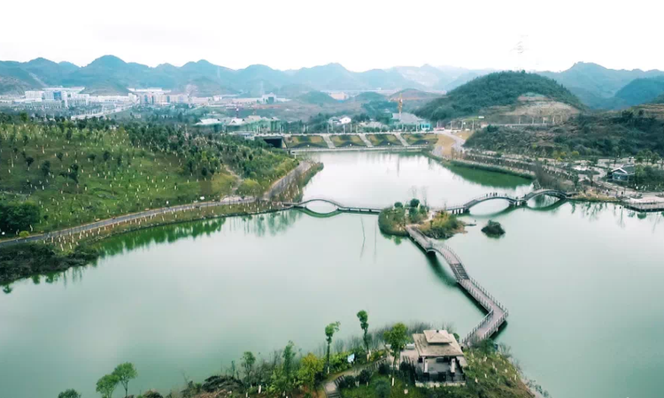 万象绿城·九珑台周边配套图