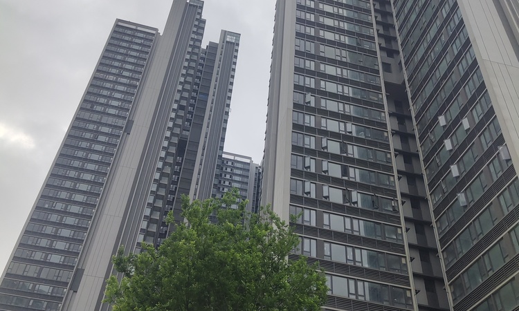 海语天悦湾施工进度图