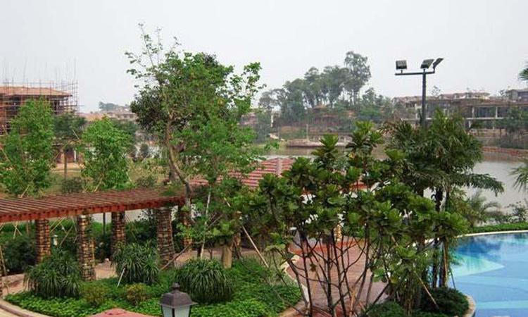 保利御江南实景图