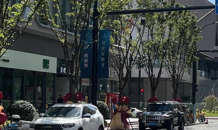 中环桃源里周边配套图