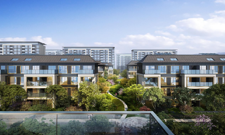 新华御著效果图