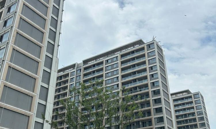 中环金茂府实景图