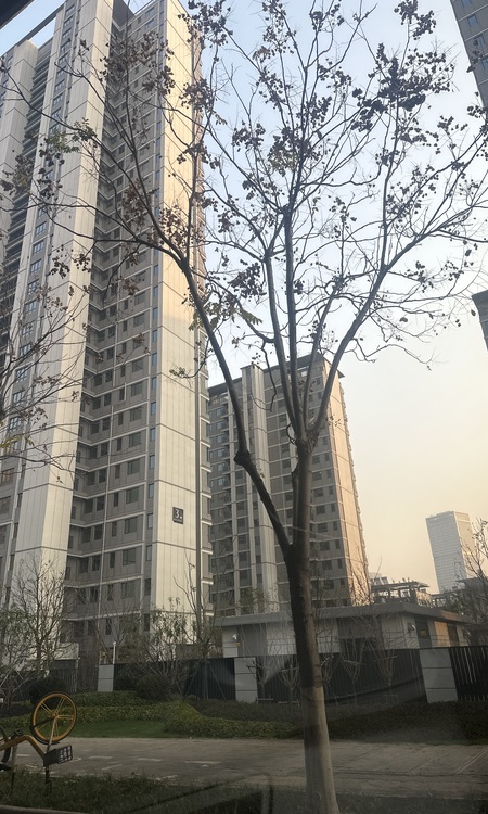 中国铁建·花语汀澜施工进度图