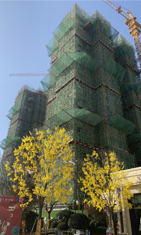 青铁畅意城施工进度图