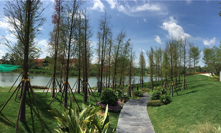 兴进珺府周边配套图