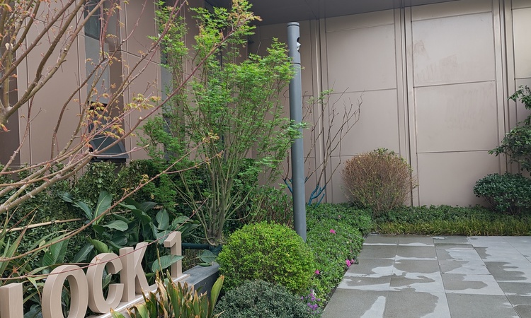 香港置地·金地·峯璟施工进度图