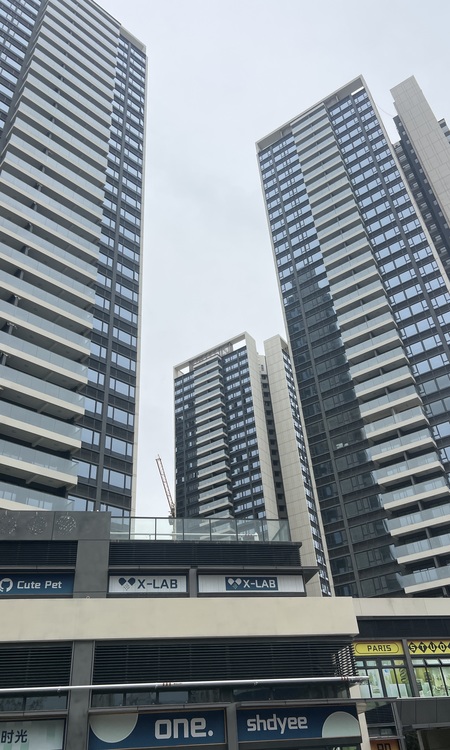 蔚蓝左岸花园施工进度图