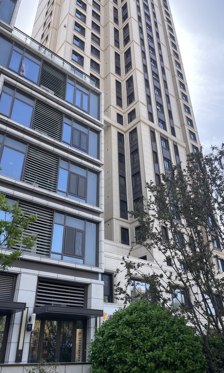 金地阅千峯施工进度图