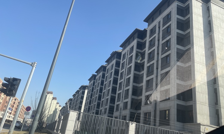 龙湖樘樾施工进度图