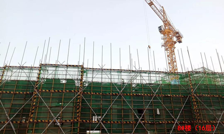 碧桂园·鹿鸣湖1號施工进度图