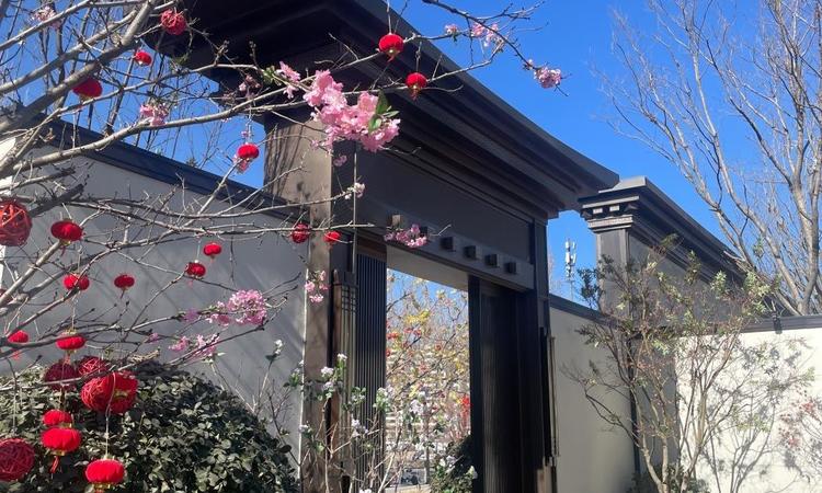 建发金茂·观宸实景图