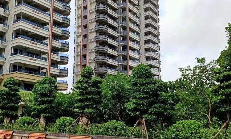 椰海温泉嘉苑施工进度图