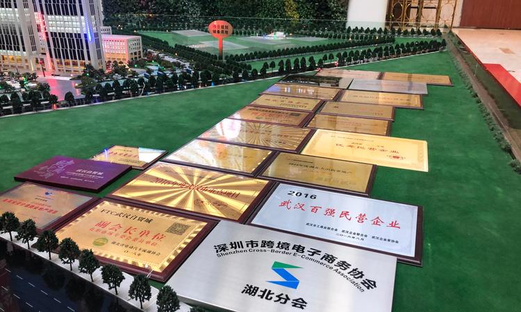 自贸环球公馆实景图