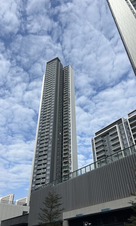 保利招商龙誉施工进度图