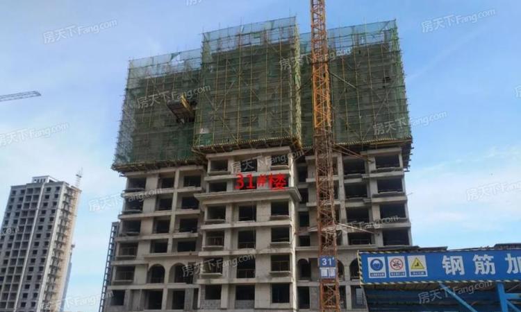 建业森林半岛实景图