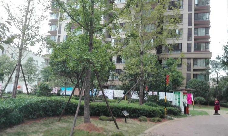 山语城3期实景图