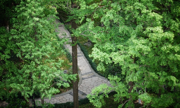 翠苑荟周边配套图