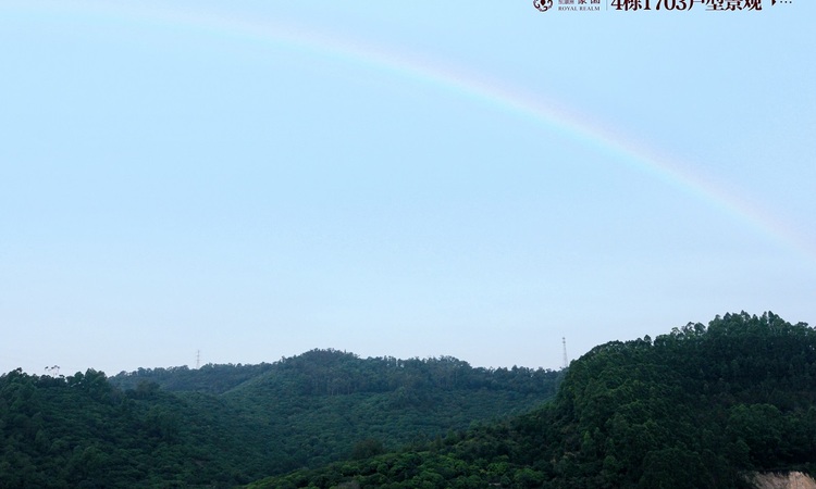 景业东湖洲豪园实景图