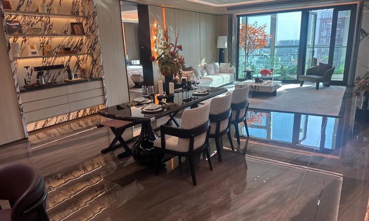 大兴发展·梧桐府样板间