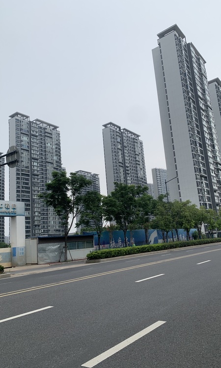 金基雅玥实景图