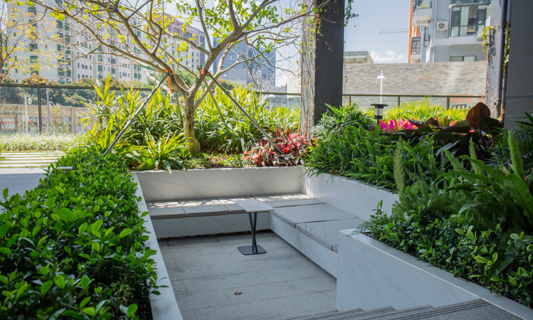 首开龙湖天琅实景图