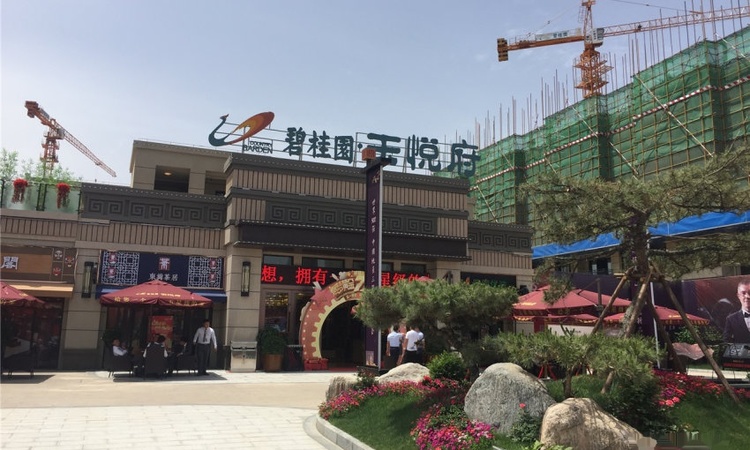 商丘碧桂园天悦府施工进度图