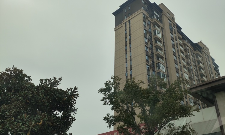 汉映施工进度图