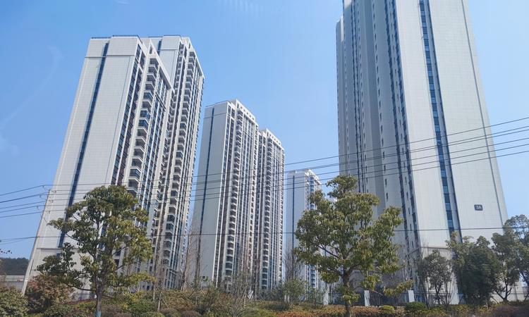 保利和光晨樾施工进度图