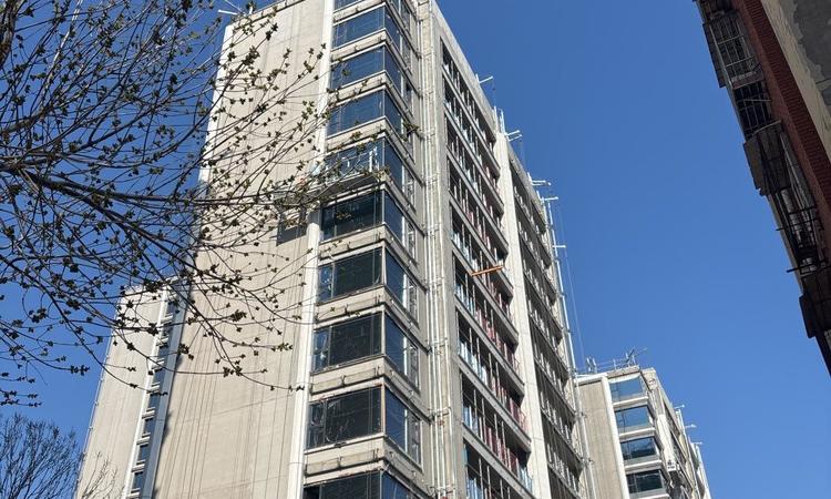 金茂泮湖满庭实景图