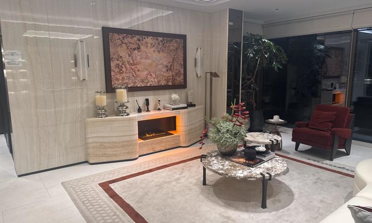 中环麓岛样板间