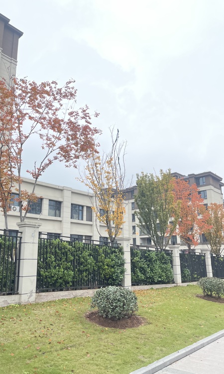 时代云著实景图