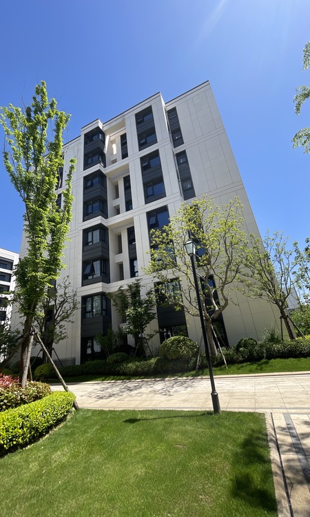 佩玛山丘施工进度图