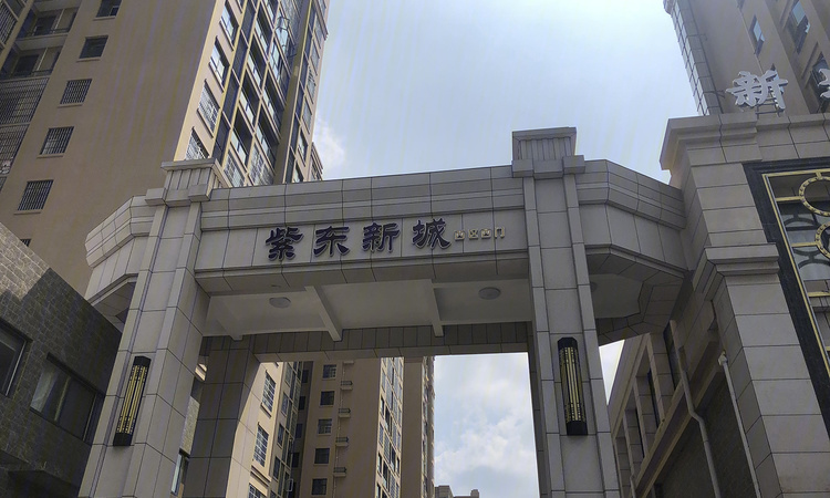 红安紫东新城实景图