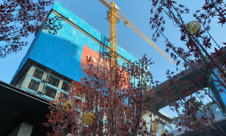 万锦都荟荣光施工进度图