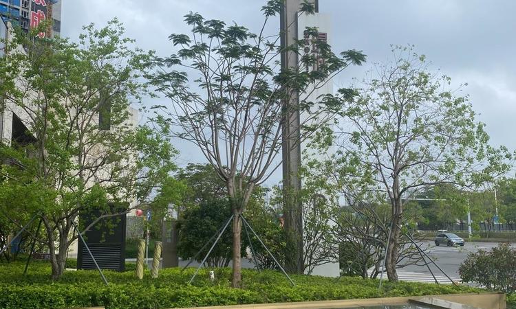 深铁璟城周边配套图