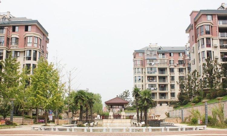 龙登·凤凰城实景图