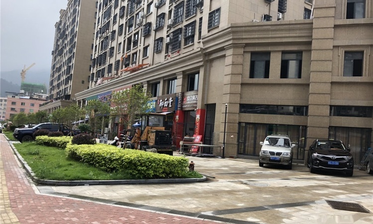 东方绿城实景图